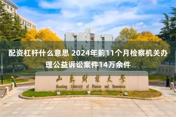 配资杠杆什么意思 2024年前11个月检察机关办理公益诉讼案件14万余件