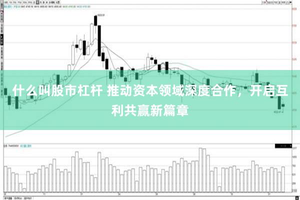 什么叫股市杠杆 推动资本领域深度合作，开启互利共赢新篇章