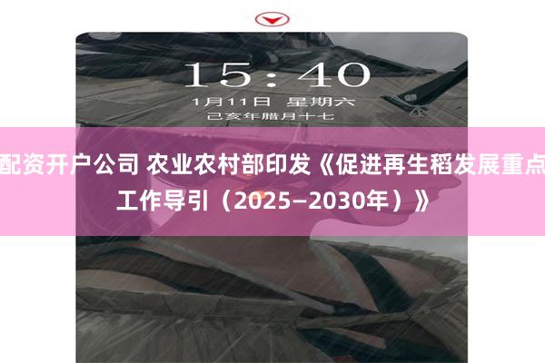 配资开户公司 农业农村部印发《促进再生稻发展重点工作导引（2025—2030年）》