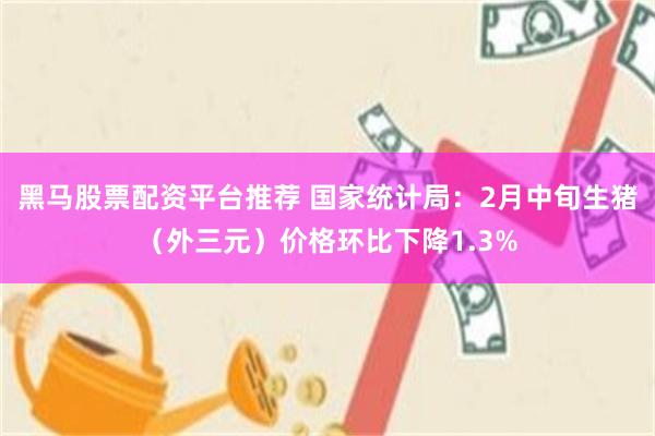 黑马股票配资平台推荐 国家统计局：2月中旬生猪（外三元）价格环比下降1.3%