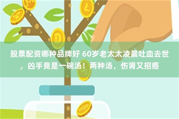 股票配资哪种品牌好 60岁老太太凌晨吐血去世，凶手竟是一碗汤！两种汤，伤肾又招癌