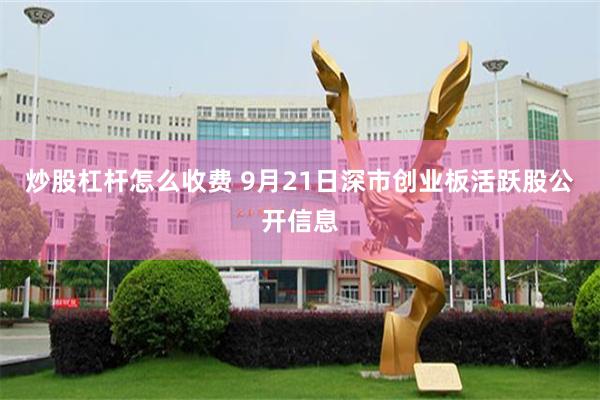 炒股杠杆怎么收费 9月21日深市创业板活跃股公开信息