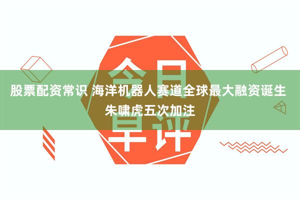 股票配资常识 海洋机器人赛道全球最大融资诞生 朱啸虎五次加注