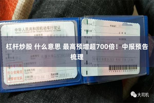 杠杆炒股 什么意思 最高预增超700倍！中报预告梳理
